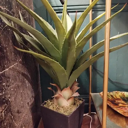 Appartamento Vieille Stanislas