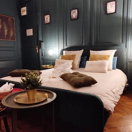 Apartment Vieille Stanislas *