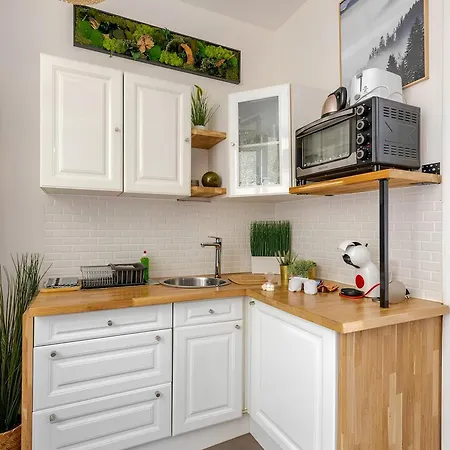 Apartment Vieille Stanislas *