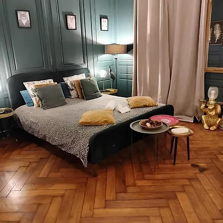 Vieille Stanislas Appartamento Nancy