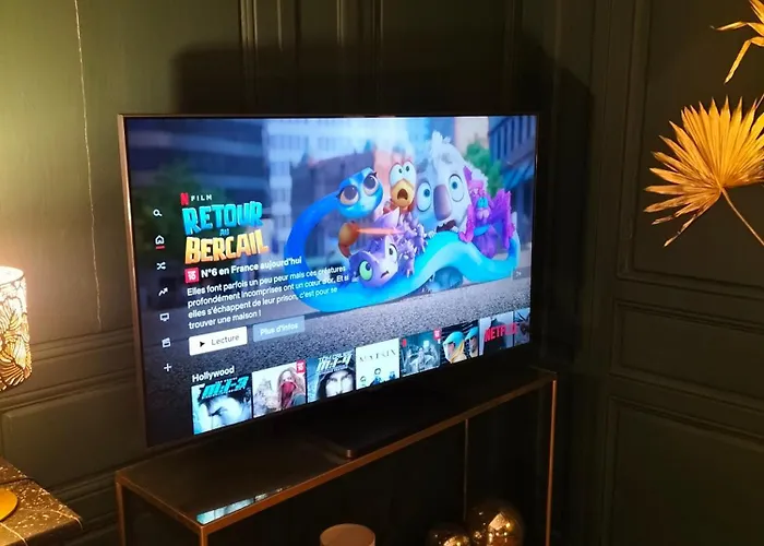 Vieille Stanislas * Nancy