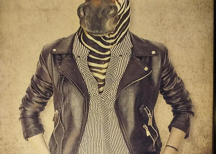 Vieille Stanislas Apartmán Nancy