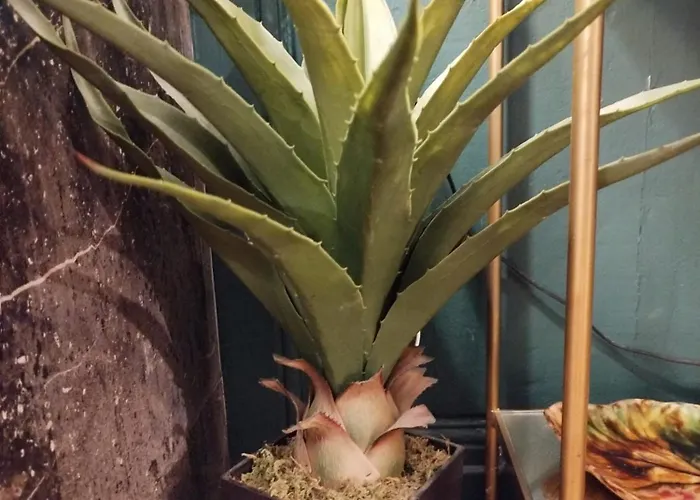 Apartment Vieille Stanislas