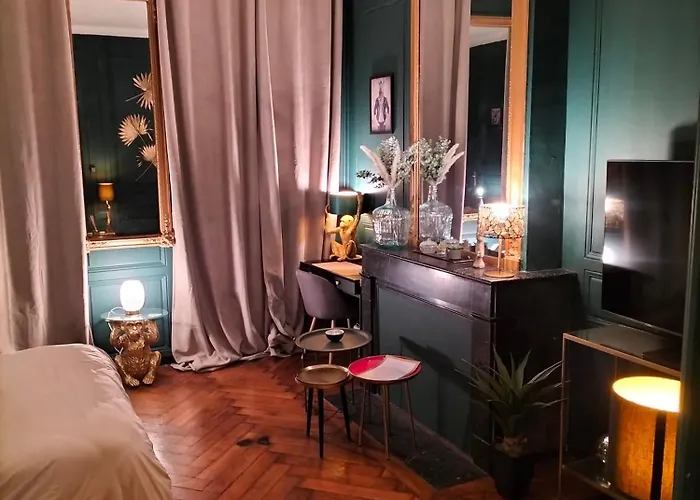 Vieille Stanislas Apartmán Nancy