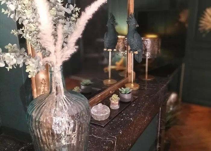 Apartment Vieille Stanislas *