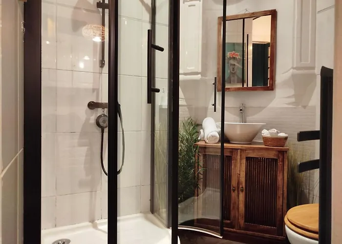 Vieille Stanislas Apartmán Nancy