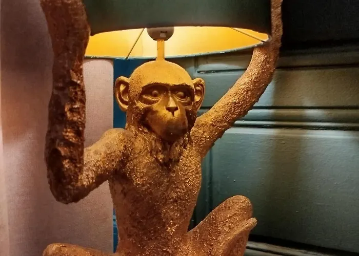 Vieille Stanislas Nancy