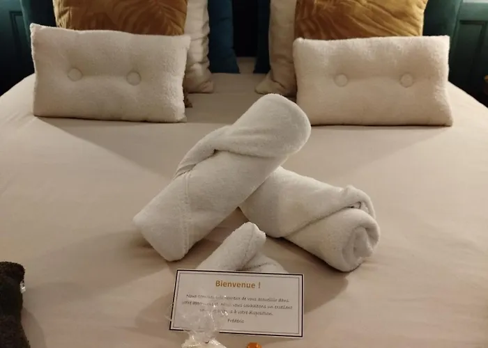 Vieille Stanislas Apartmán Nancy