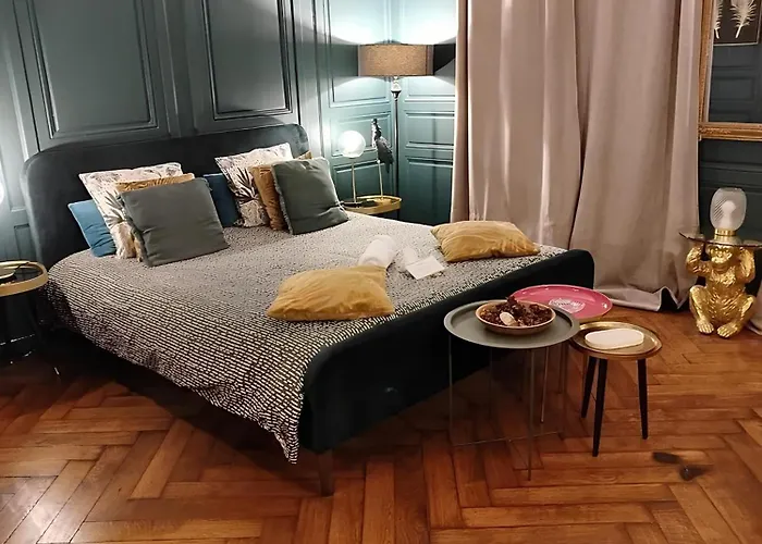 Vieille Stanislas Apartment Nancy